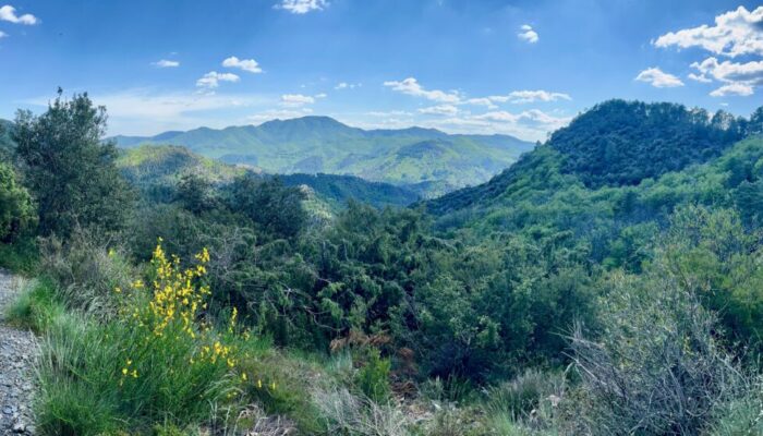 Image 0 : NATURALOHA : DÉCOUVERTE DES CÉVENNES À PIED