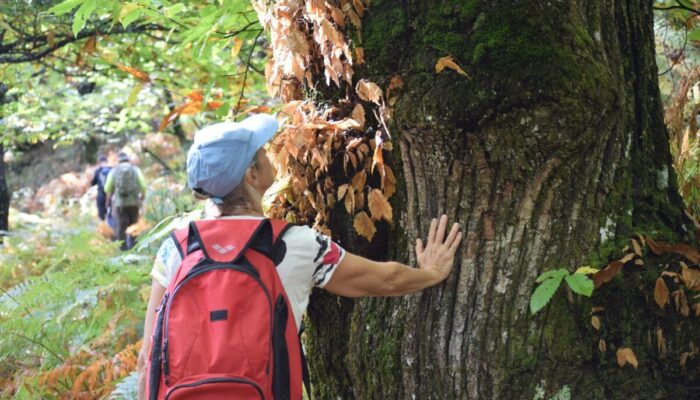 Image 1 : NATURALOHA : DÉCOUVERTE DES CÉVENNES À PIED