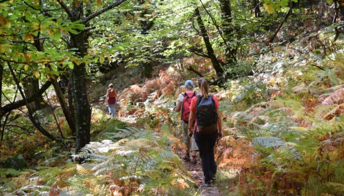 Image 3 : NATURALOHA : DÉCOUVERTE DES CÉVENNES À PIED