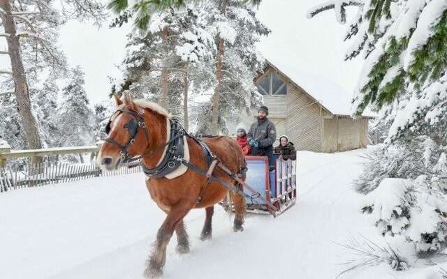 Image 4 : RESERVE DES BISONS D'EUROPE
