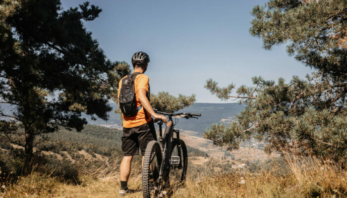 Image 3 : STATION DE PLEINE NATURE DU MONT LOZÈRE
