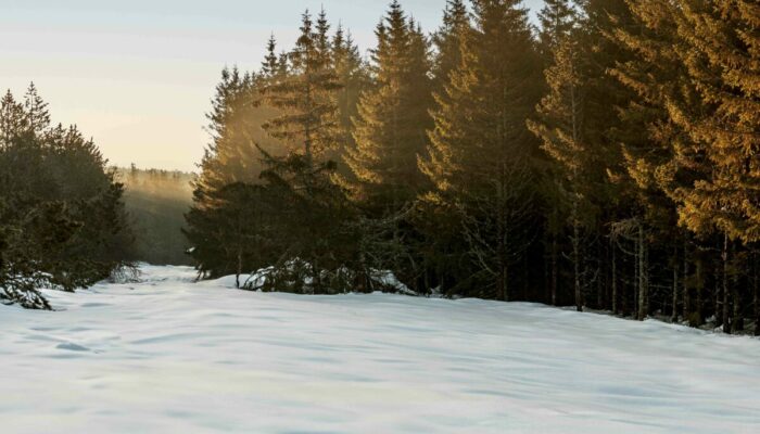 Image 2 : STATION DE SKI DU BLEYMARD MONT LOZERE
