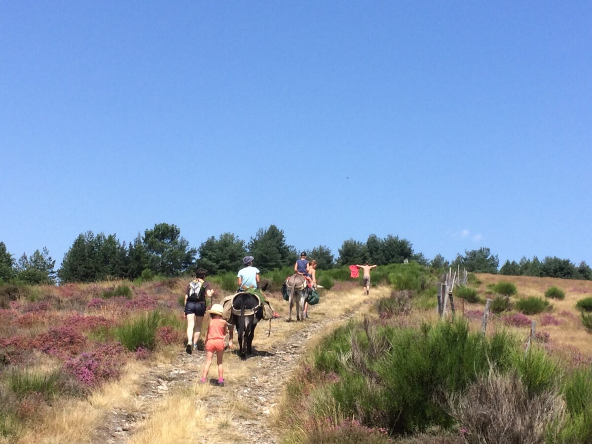 Image 2 : TRAMONTANE