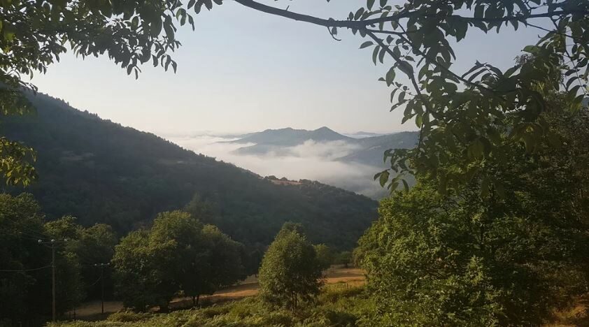 Image 3 : YOGA ET AYURVEDA EN CÉVENNES