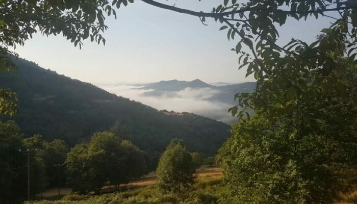 Image 3 : YOGA ET AYURVEDA EN CÉVENNES