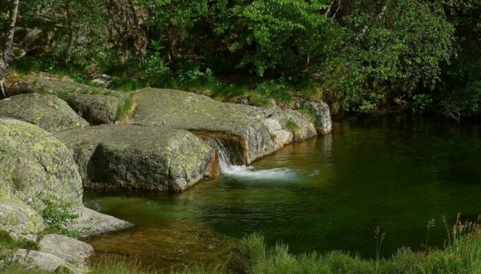 Image 3 : MAS CAMARGUES
