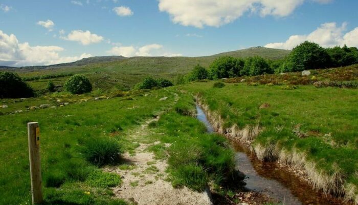 Image 4 : MAS CAMARGUES