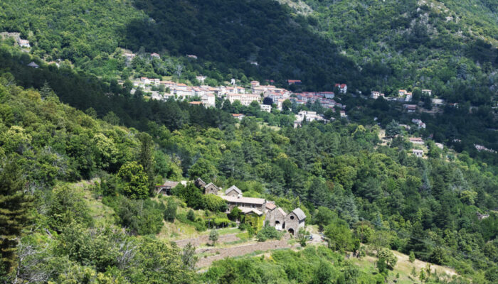 Image 3 : SENTIER DE DECOUVERTE DE VIALAS