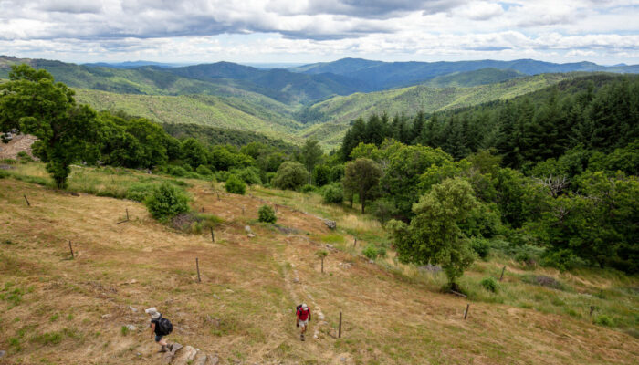 Image 0 : SENTIER DE LA CHÂTAIGNERAIE DE L’ESPINAS