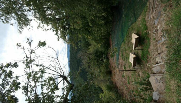 Image 2 : SENTIER DE LA CHÂTAIGNERAIE DE L’ESPINAS