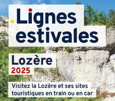 Image 0 : Navettes touristiques estivales Lio 2025