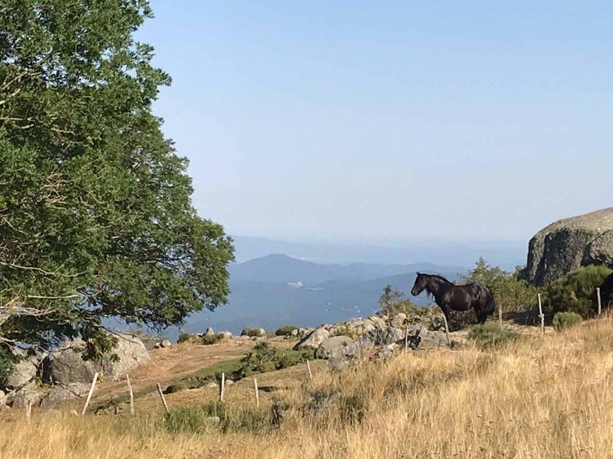 Image 2 : BIVOUAC DE GOURDOUZE