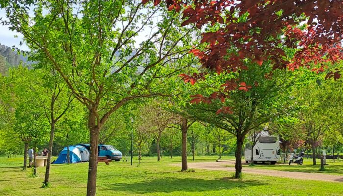 Image 1 : CAMPING SOUS LES ETOILES