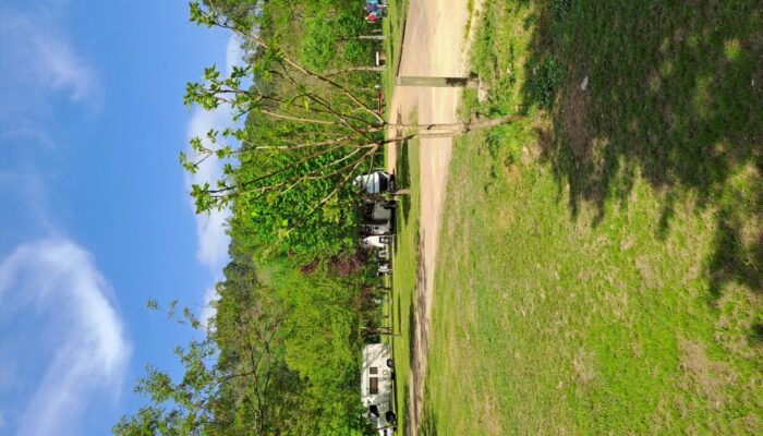 Image 2 : CAMPING SOUS LES ETOILES