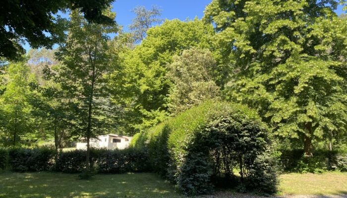 Image 0 : SEVEN CAMP - LE MARTINET