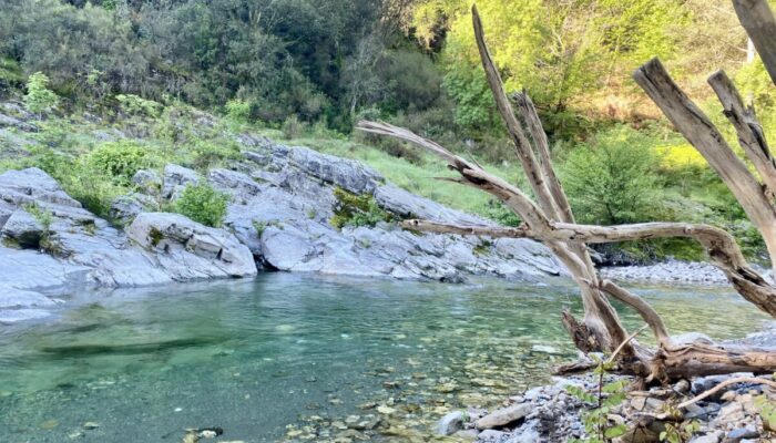 Image 0 : SEVEN CAMP - LE MARTINET