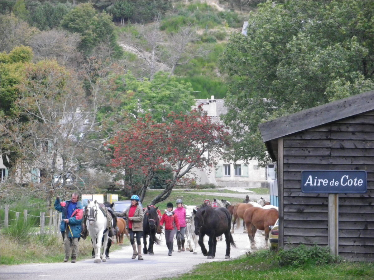 Image 4 : AIRE DE BIVOUAC D'AIRE DE CÔTE
