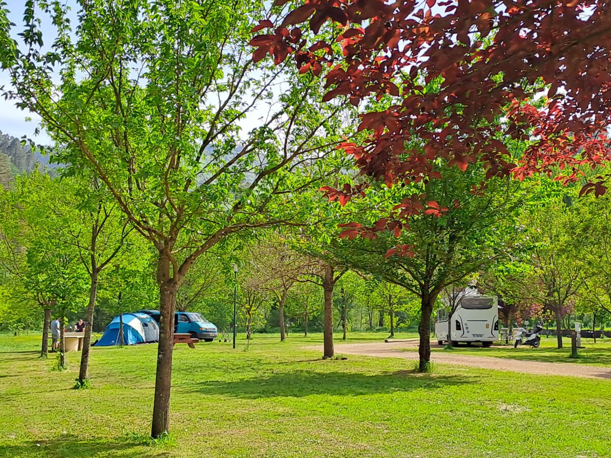 Image 1 : CAMPING SOUS LES ETOILES