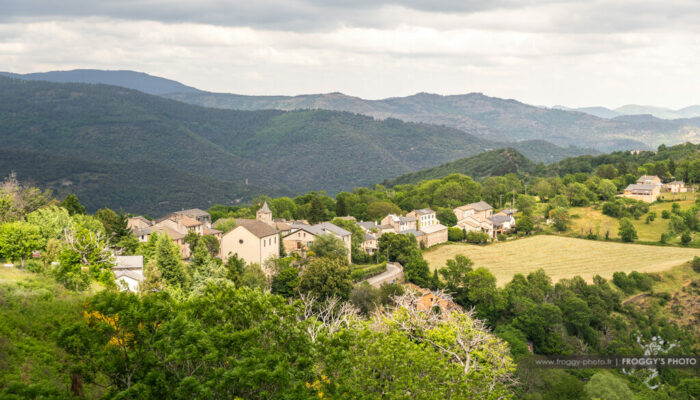 Image 4 : AU POULAILLER DES CEVENNES