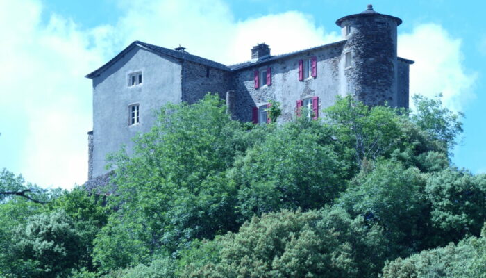 Image 3 : LE CHATEAU DE POUJOL