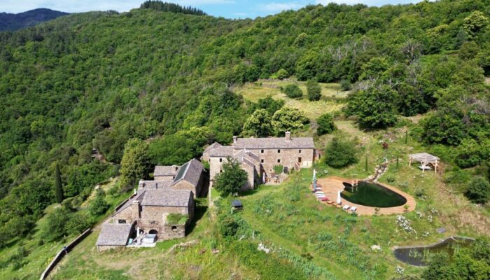 Image 0 : LE VERDIER