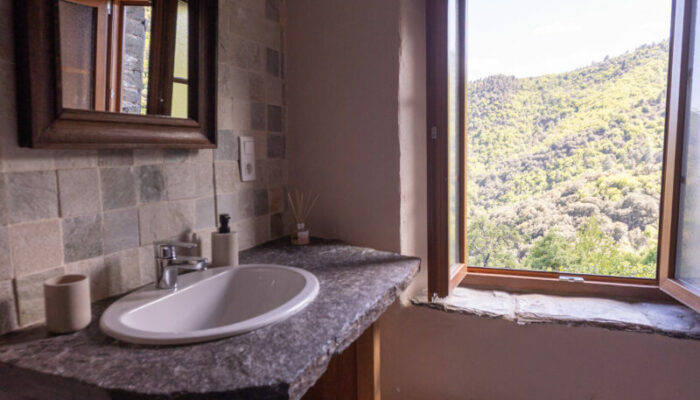 Image 4 : LES HÔTES DU CHÂTAIGNIER