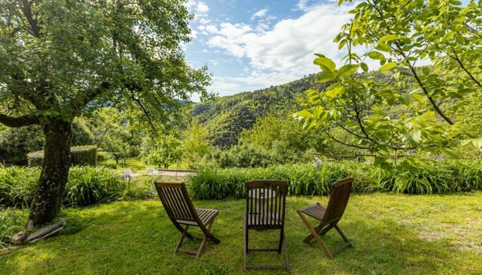 Image 4 : LES HÔTES DU CHÂTAIGNIER