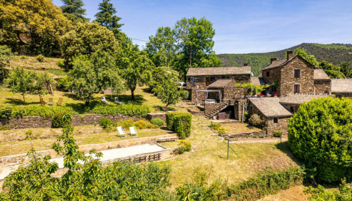 Image 0 : LES HÔTES DU CHÂTAIGNIER