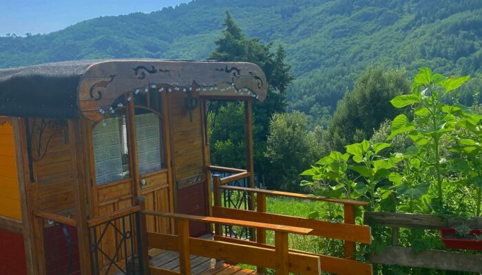 Image 3 : LES SECRETS DES CÉVENNES : LA ROULOTTE D'IZIA