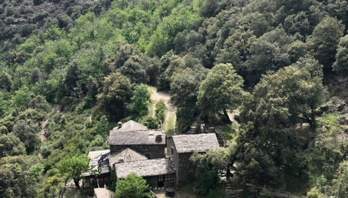 Image 4 : MAS LOU ABEILHS