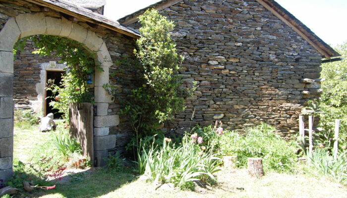 Image 2 : GISÈLE MASSINI : THÉRAPEUTE PSYCHO-CORPOREL