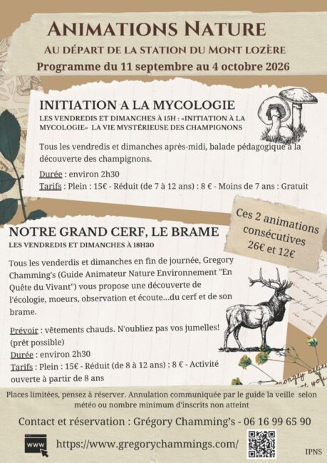 Image 0 : ANIMATION NATURE : BRAME DU CERF