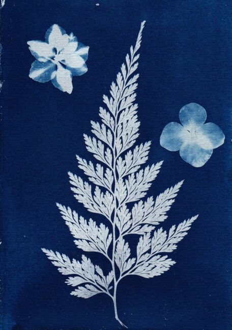 Image 0 : ATELIER CYANOTYPE