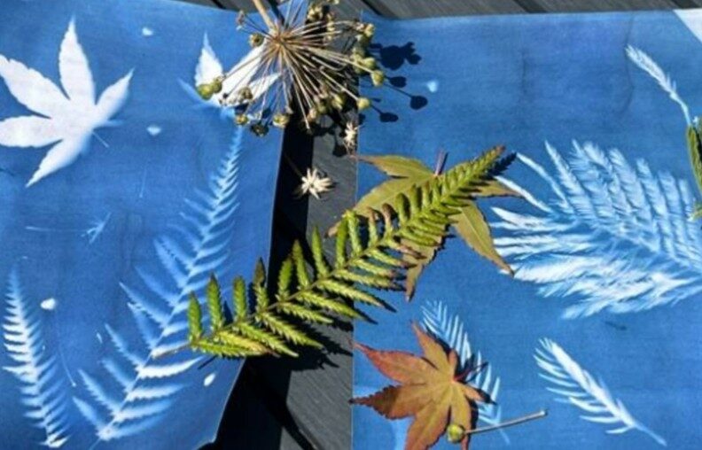 Image 0 : ATELIER CYANOTYPE