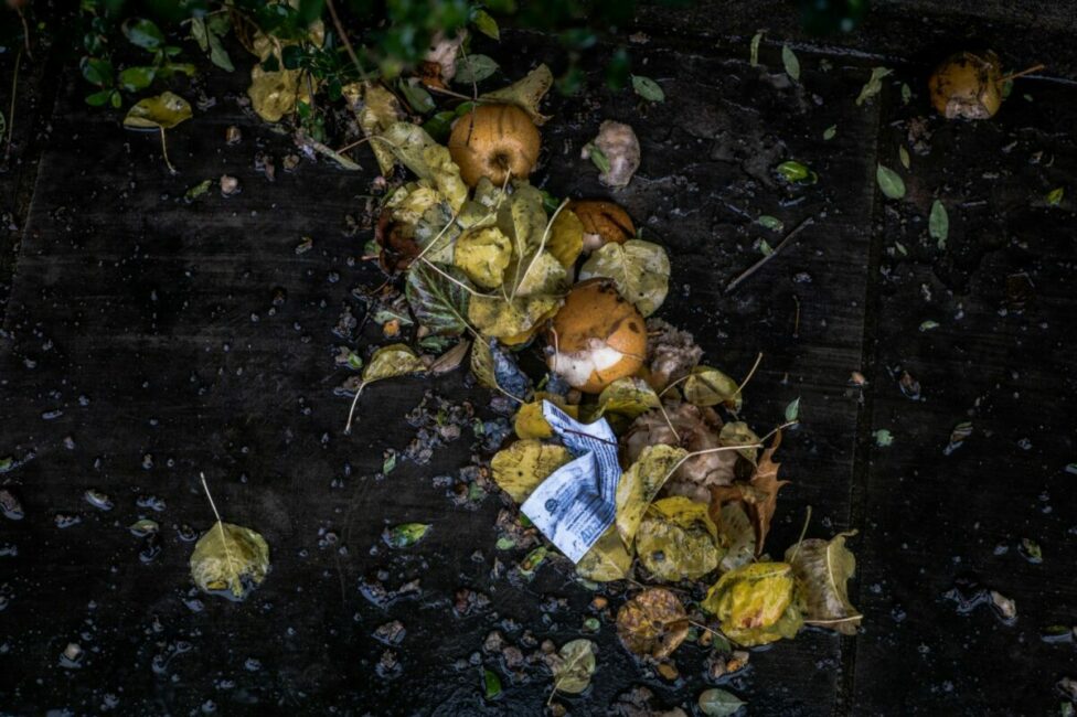 Image 0 : ATELIER - LE COMPOST ET LA FABRICATION D'UNE LASAGNE