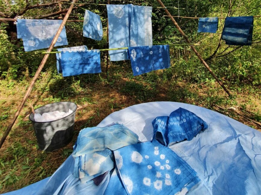 Image 0 : ATELIER TEINTURE VÉGÉTALE COMPLET AU JARDIN ET VISITE DE L'INDIGOTERIE