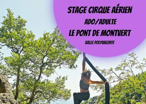 Image 0 : ATELIERS AÉRIENS CIRQUE ADO/ADULTES