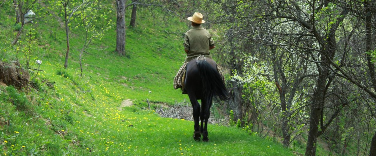 Image 0 : BALADE À CHEVAL AVEC PASCAL CHARRIER
