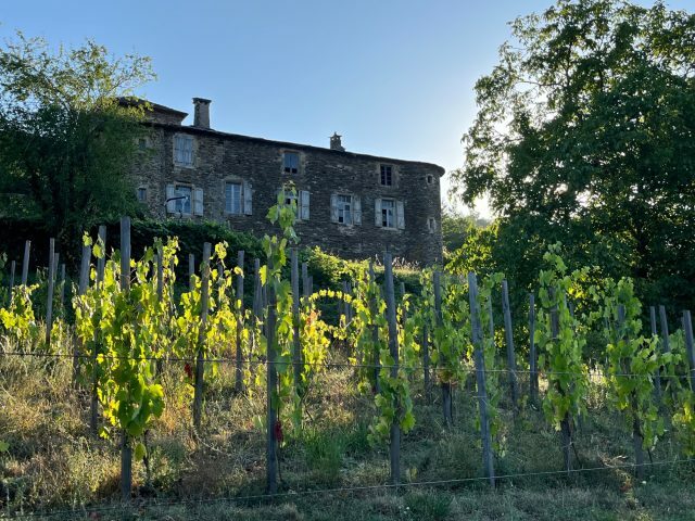 Image 0 : BALADE GOURMANDE