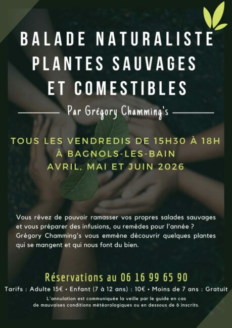 Image 0 : BALADE NATURALISTE : PLANTES SAUVAGES ET COMESTIBLES