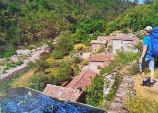 Image 0 : CÉVENNES - UN VIGNOBLE DÉFENDU