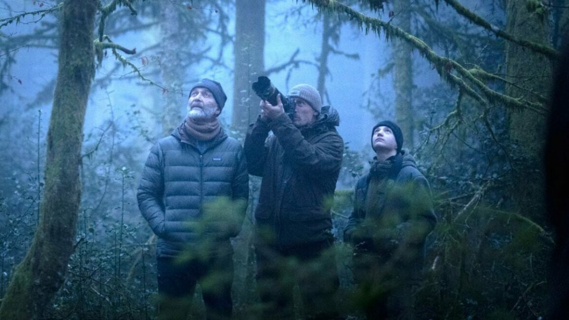 Image 0 : CINÉCO : LE CHANT DES FORÊTS