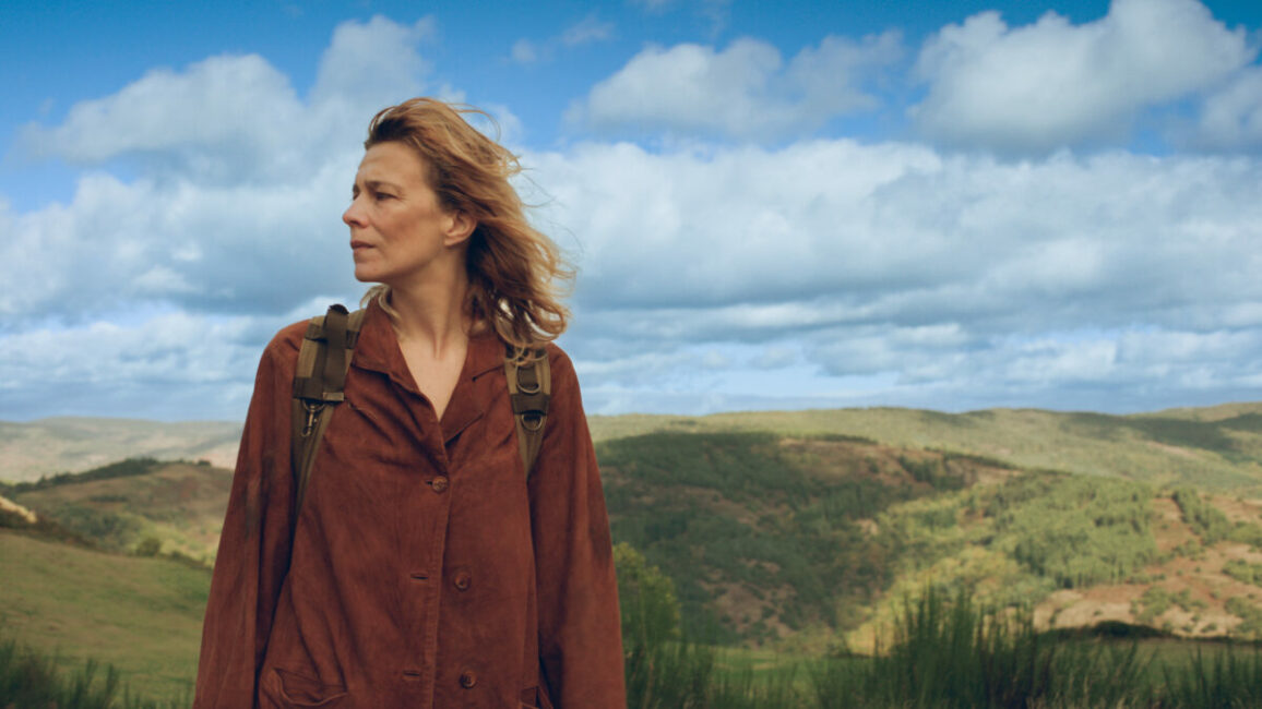 Image 0 : CINECO : SAUVAGE