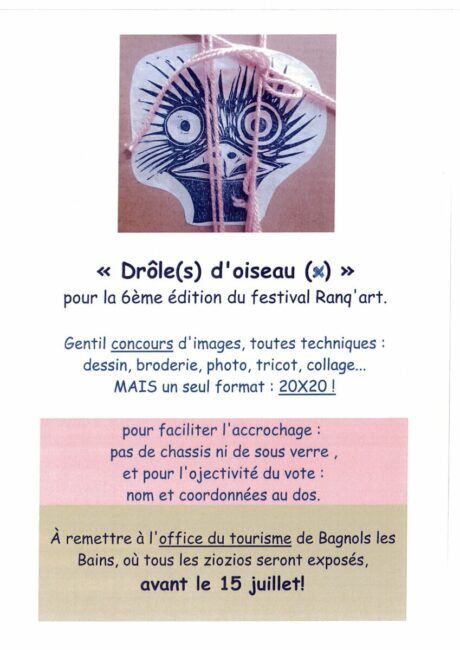 Image 0 : CONCOURS D'IMAGES " DRÔLE(S) D'OISEAU(X)