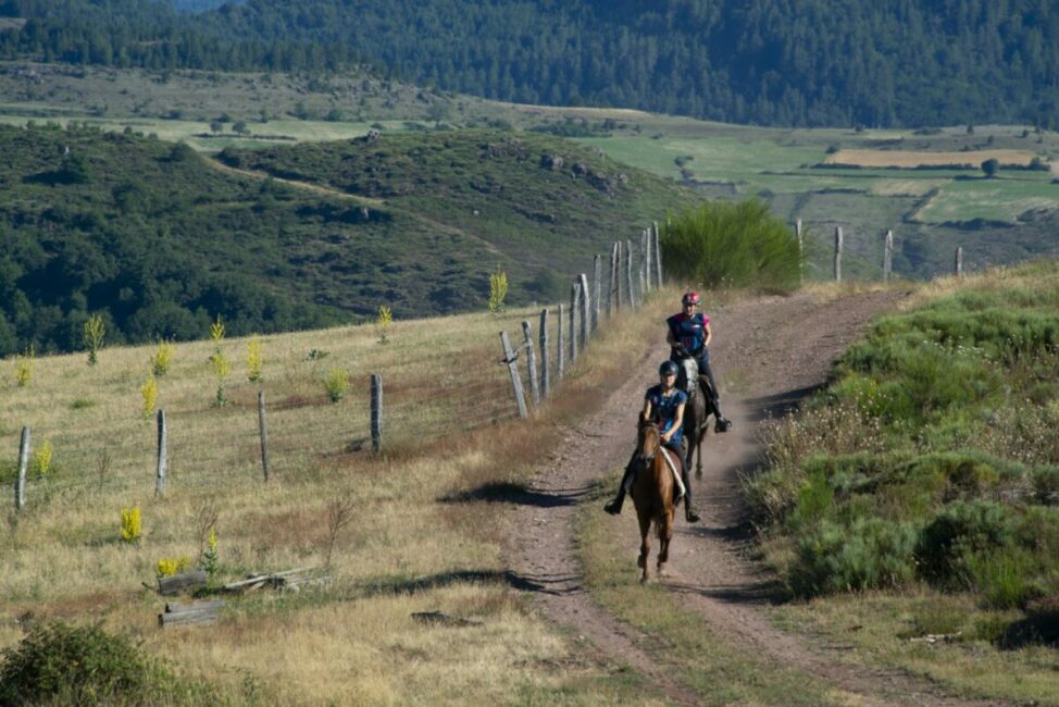 Image 0 : COURSE D'ENDURANCE ÉQUESTRE