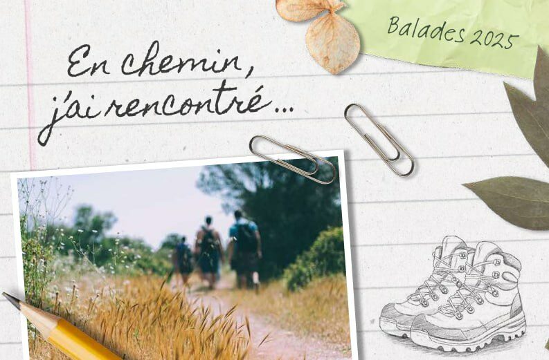 Image 0 : EN CHEMIN J'AI RENCONTRÉ : LA CHÈVRE ET LE CHOU