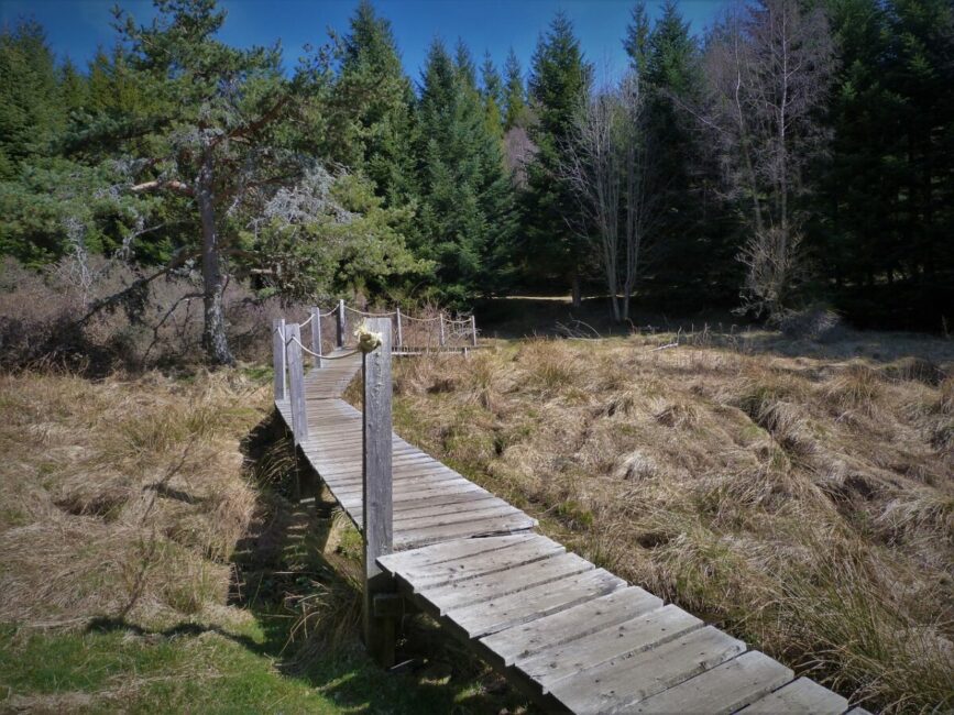 Image 0 : EN CHEMIN J'AI RENCONTRÉ : "LES SOURCES DU LOT"