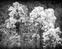 Image 0 : EXPOSITION PHOTOS