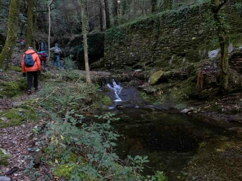 Image 0 : FESTIVAL DE LA RANDONNÉE : LA VALLÉE FRANÇAISE, SES CHEMINS CHARGÉS D'HISTOIRE