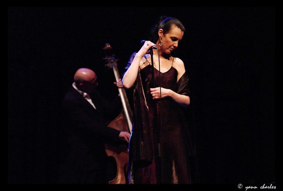 Image 3 : FESTIVAL JAZZ À VIALAS